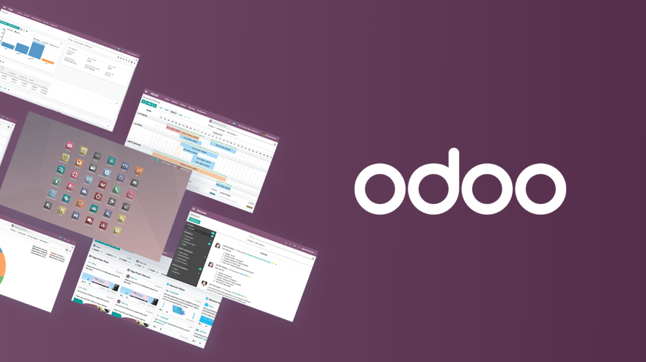 Odoo Erp